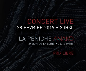 Le groupe "Yerek" en concert sur la péniche Anako