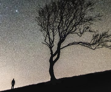 Une histoire vraie