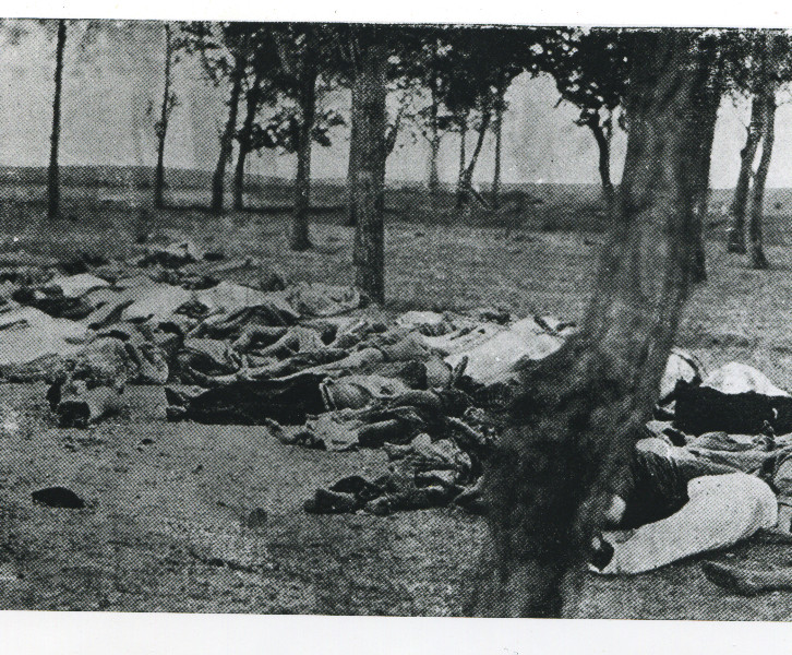 Zeit zu reden – International: Der Genozid an den Armenier*innen und seine Bedeutung