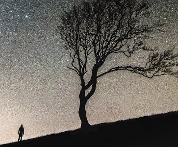 Une histoire vraie