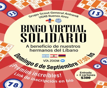 ⚜️Benefit bingo evening-Bingo Virtual Solidario