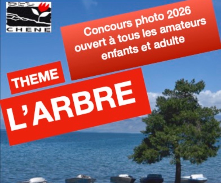 Concours photo CHENE