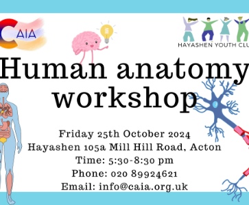 Human anatomy workshop