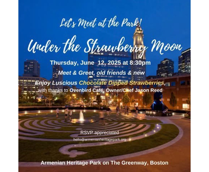 Let's Meet at the Park! Under the Strawberry Moon