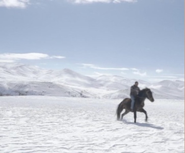 Projection « 5 dreamers and a horse » de Vahagn Khachatryan et Aren Malakyan (2022)