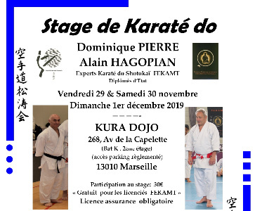 Stage de Karaté