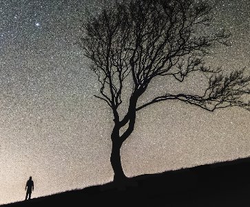 Une histoire vraie