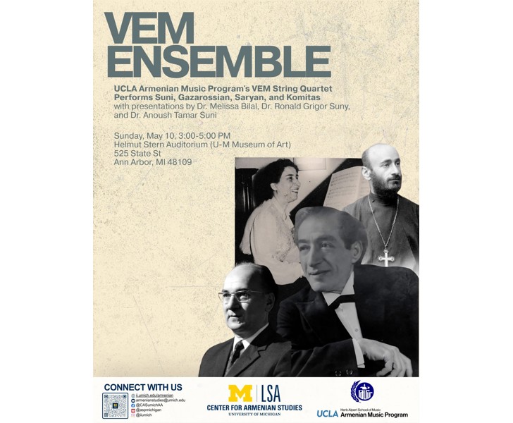VEM Ensemble